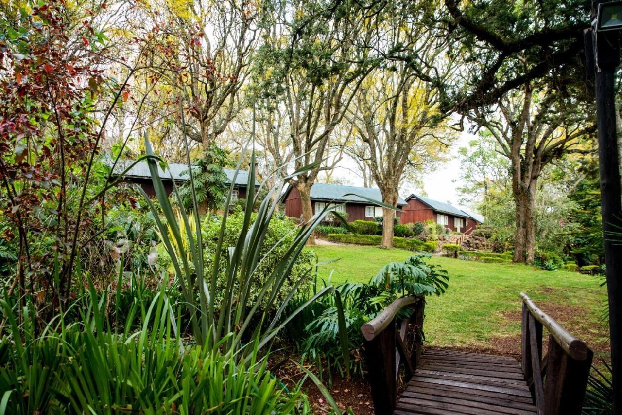 Naro Moru River Lodge Exterior photo