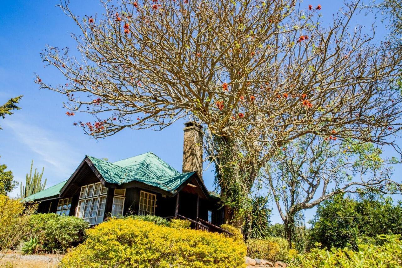 Naro Moru River Lodge Exterior photo