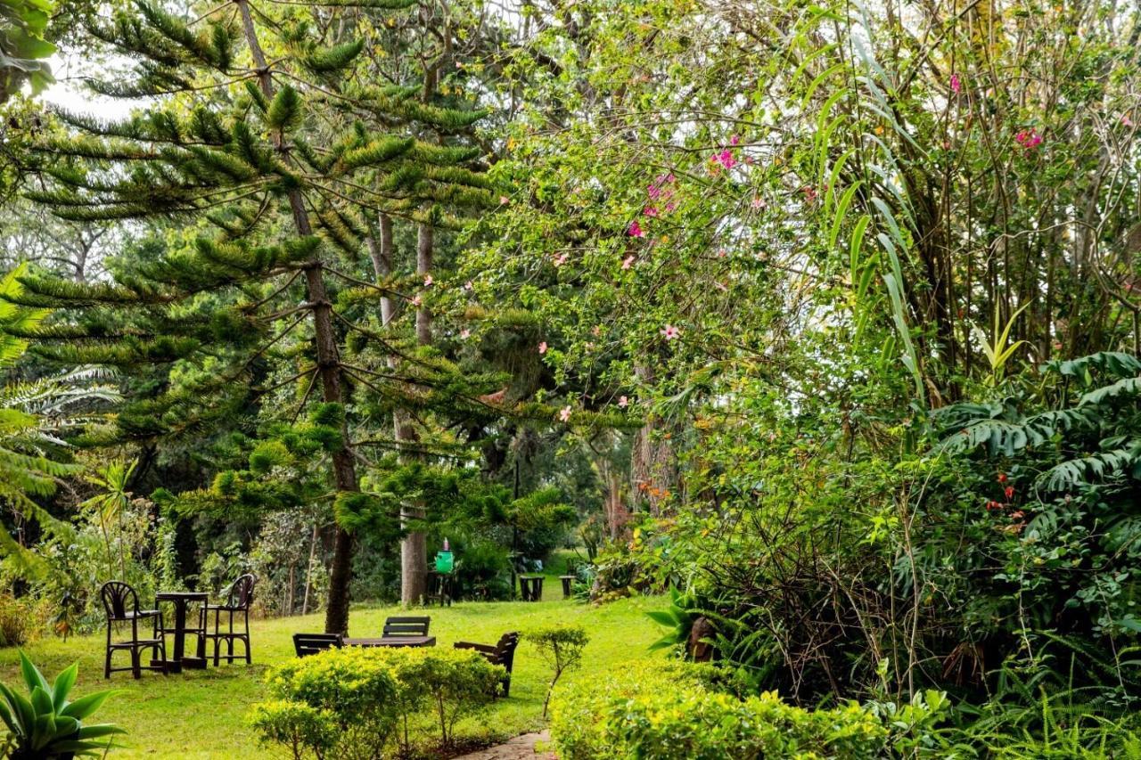 Naro Moru River Lodge Exterior photo